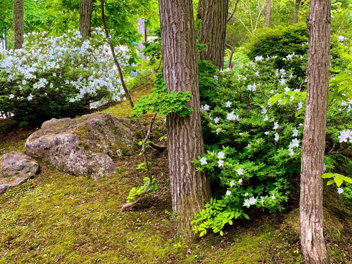 Asagiri Chalet Hakuba Luaran gambar
